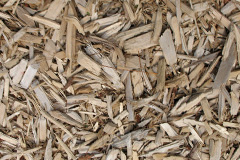 biomass boilers Carsluith
